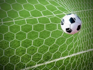 Football Goal Post Hexa Net Full Size for outdoor gaming