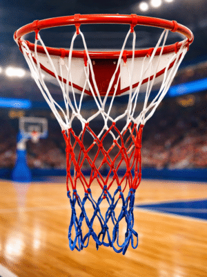 Multicolor Basketball Ring Net Light