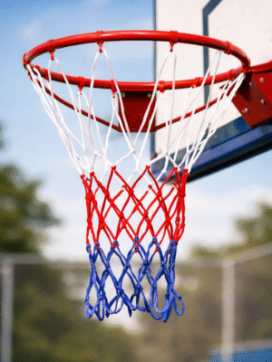 Multicolour Heavy BasketBall Ring Net
